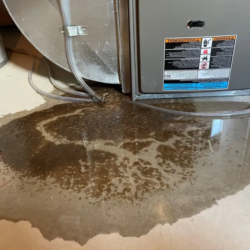 Pipe Burst and Leak Restoration in New Brighton, PA