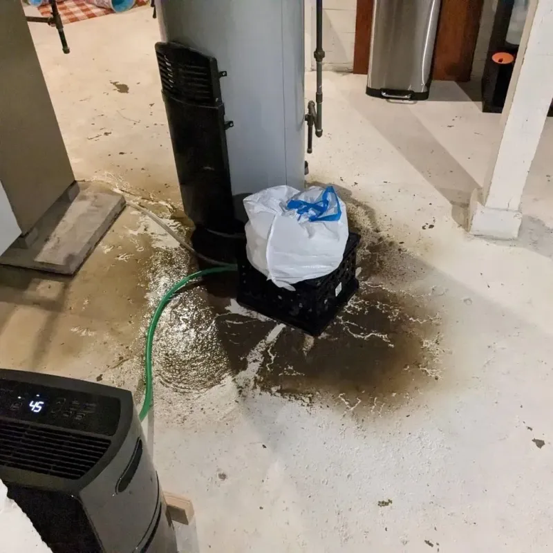 Sewage Backup Cleanup Service in New Brighton, PA